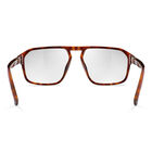 EPID 02, Havana Shiny-, hi-res image number null